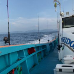 4年ぶりのイカメタル