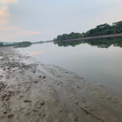 朝マズメ〜夕まずめ