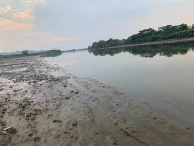 朝マズメ〜夕まずめ