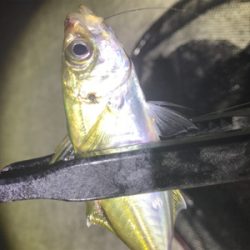 フロートアジング