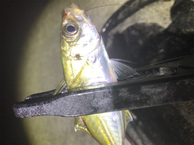 フロートアジング