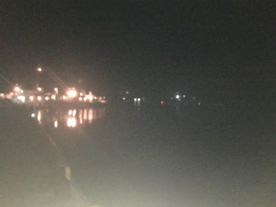 小鯖が大きくなってる!