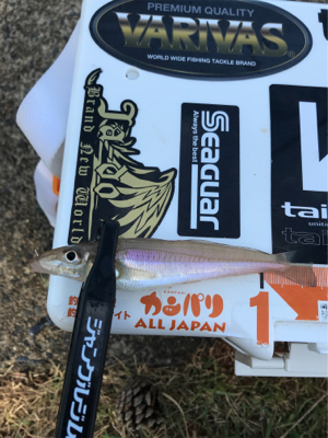 キスを求めて②