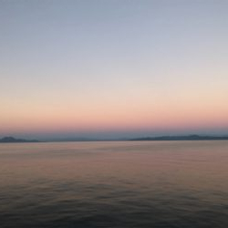 タチウオワインド020821