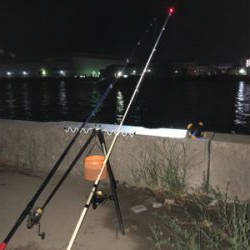 青物狙いでしたが⁉️