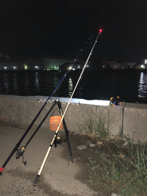 青物狙いでしたが⁉️