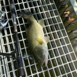 久々の嫁とのバス釣り。