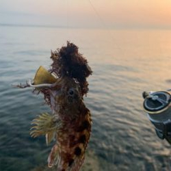 フロート・ガシリングと、ベリング