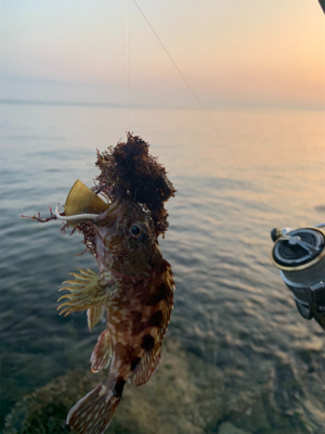 フロート・ガシリングと、ベリング