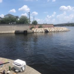 前打ちプラクティス