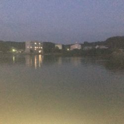 サバのなめろうが食べたくて！