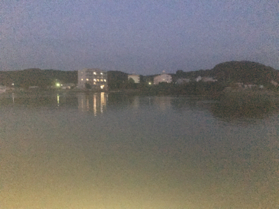 サバのなめろうが食べたくて！