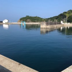 皆さん急いでー！②