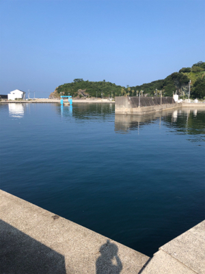 皆さん急いでー！②