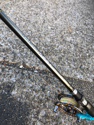 【ヘチ釣り】三重県霞埠頭にてへちさぐり