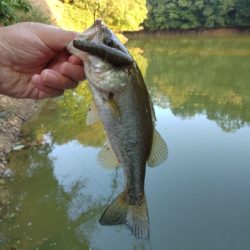 リザーバー釣行