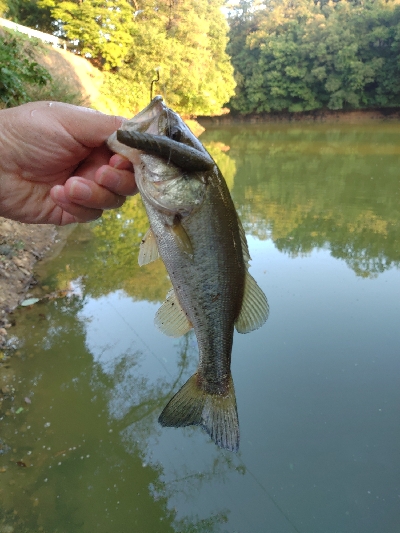 リザーバー釣行