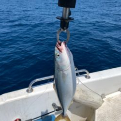 真夏のマイボート釣行