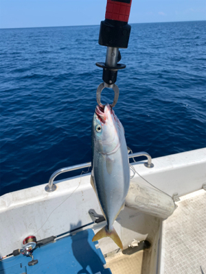 真夏のマイボート釣行