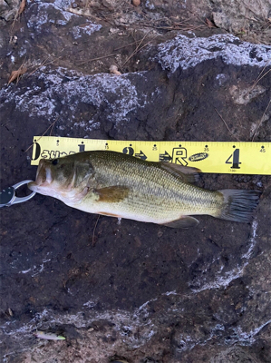 食いっ気がハンパない!