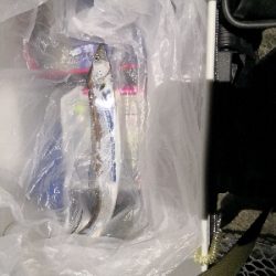 太刀魚はワンチャンス