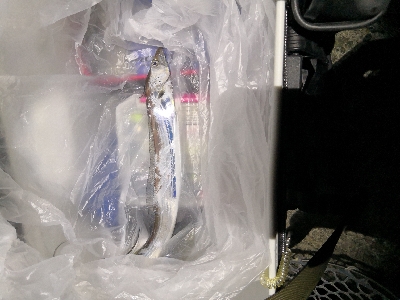 太刀魚はワンチャンス