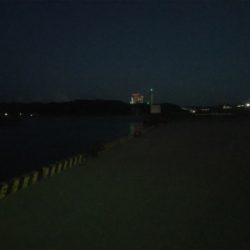 小さいイワシがいい餌になってくれました!