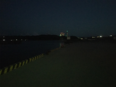 小さいイワシがいい餌になってくれました!