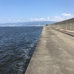 好調釣り場で1枚のみ