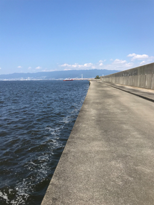 好調釣り場で1枚のみ