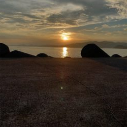 チャリコいっぱい