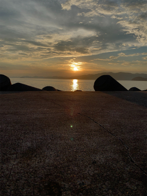 チャリコいっぱい