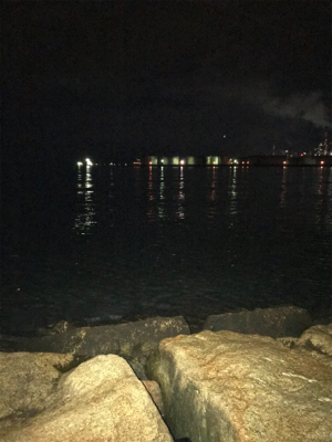 メバリング ロックフィッシュ