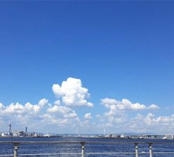 真夏のファミリーフィッシング