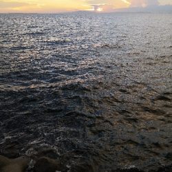 ワインドはワンチャンス