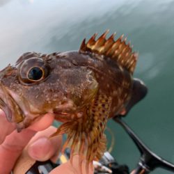 マイクロ岸ジギ