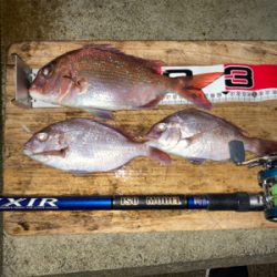 夕まずめなのに…