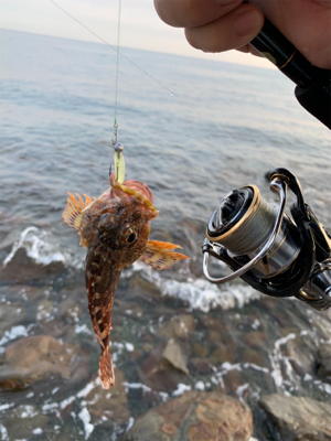 フロート　ガシリング&ベリング