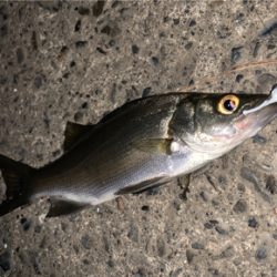 マイクロチニング