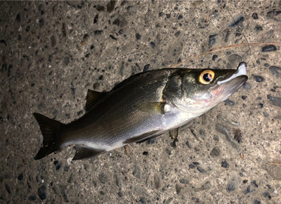 マイクロチニング