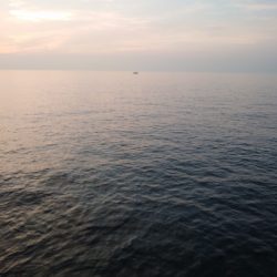 今シーズン初タチウオ