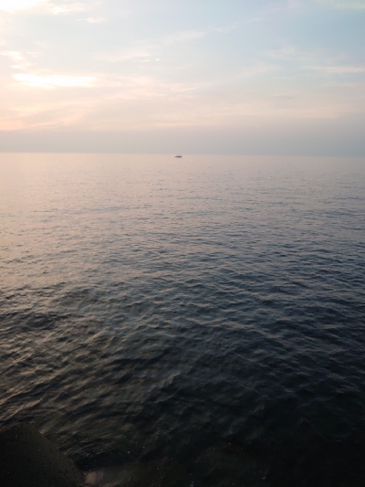 今シーズン初タチウオ