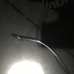 水軒鉄鋼団地にてタチウオ