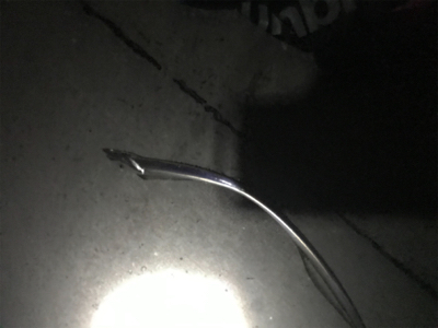 水軒鉄鋼団地にてタチウオ