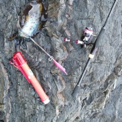 久しぶりの磯釣り(^_^)