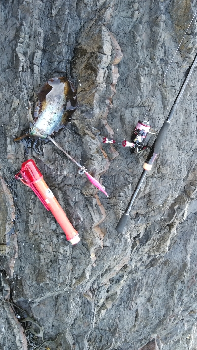 久しぶりの磯釣り(^_^)