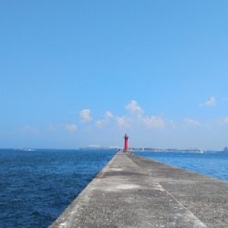 初タチウオ行ってきた。