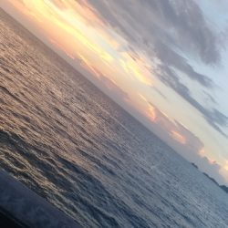 8/30釣果タチウオチヌデカアジメバル