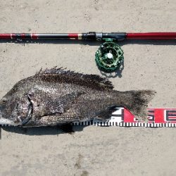 ぬめ~と年無しゲット!