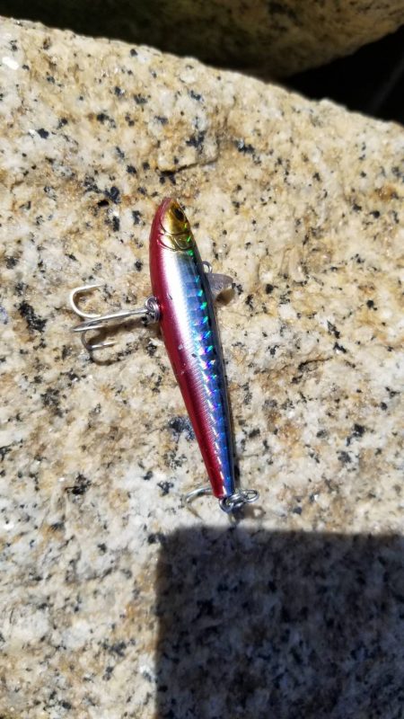 ボラリストになった。 狙えばビッグファイトです。